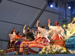 Festival de Folkore en Mula